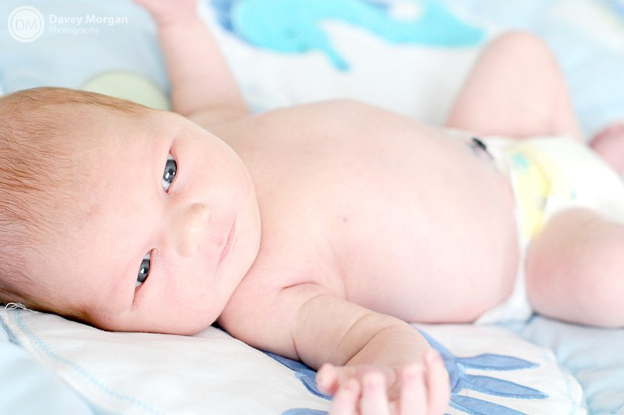 Baby photos | Davey Morgan Photography 