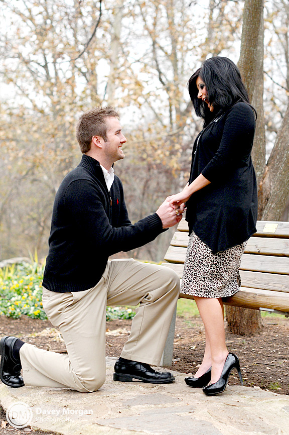 Proposal in Falls Park, Greenville, SC | Davey Morgan Photography 