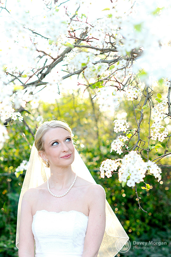 Bride in wedding dress under a tree | Davey Morgan Photography