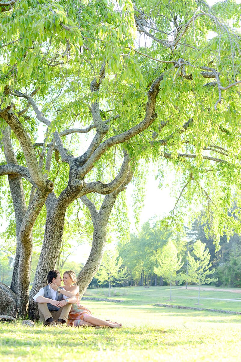 Weeping willow engagement pictures in Greenville, SC