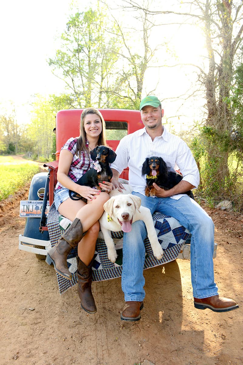 Engagement pictures with dogs on a vintage truck in the country, including a John Deere hat